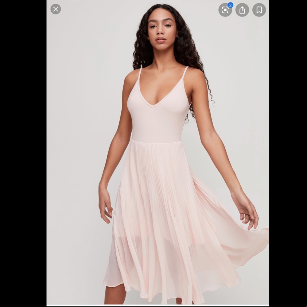 Aritzia dress